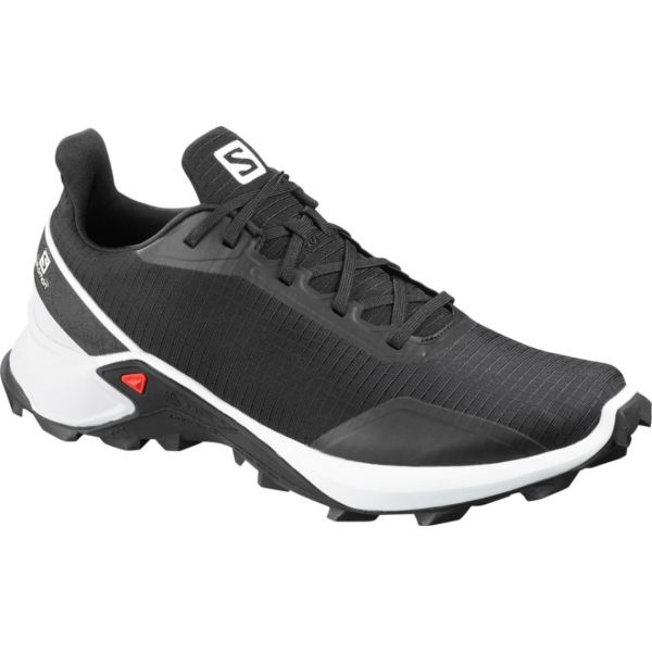 Salomon 2025 alphacross 407319