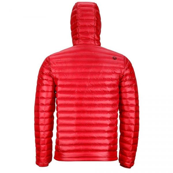 Marmot quasar outlet nova