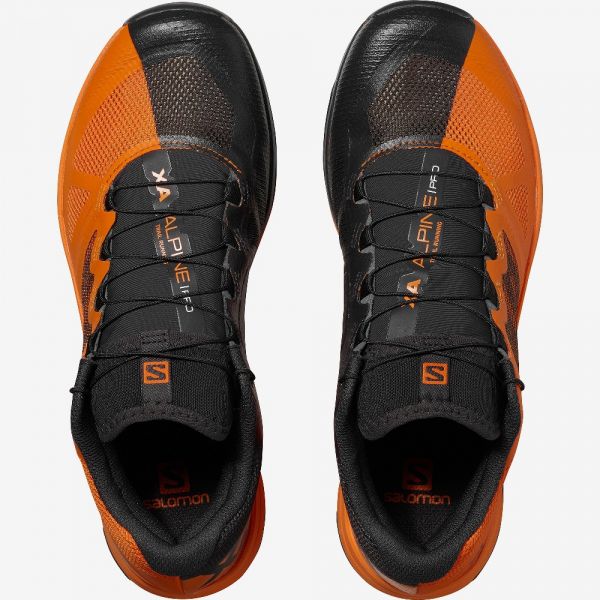 X store alpine pro