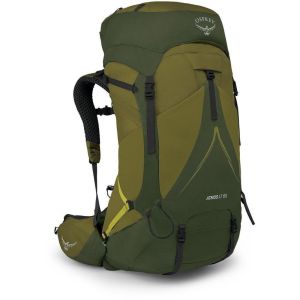 Рюкзак туристический Osprey Atmos AG LT 65 | scenic valley/green peppercorn | L/XL